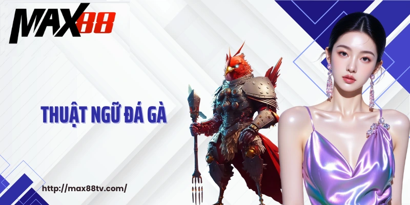 Thuật ngữ đá gà