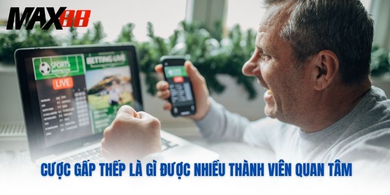 Cược gấp thếp là gì được nhiều thành viên quan tâm